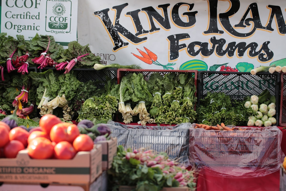 Fragrant chickpea curry served with rice and naan